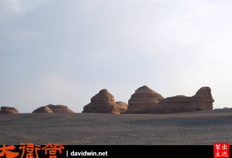 各式各樣造型不同的雅丹砂岩，其造型有像建築、動物、人物、知名地標等等