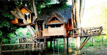 【清邁|住宿】不可思議的驚奇樹屋：Rabeang Pasak Tree House Resort