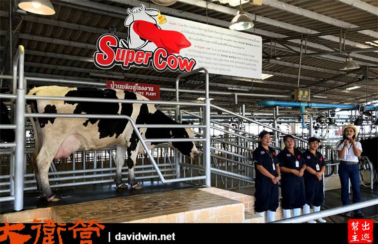 超級乳牛（Super Cow）