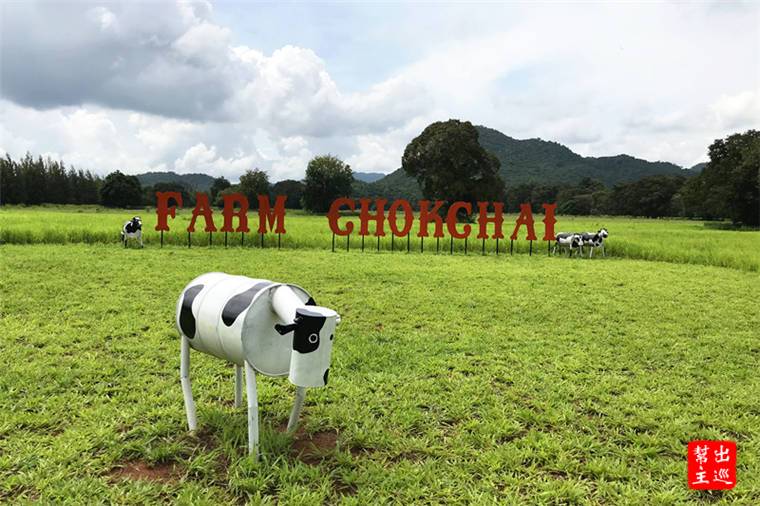 【泰國|考艾】擠牛奶、當牛仔就在”Farm Chokchai”