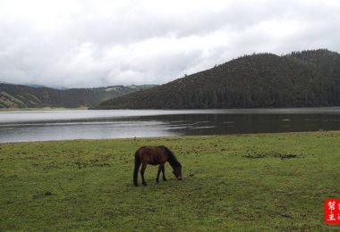 【香格里拉】原生態之”普達措國家公園”