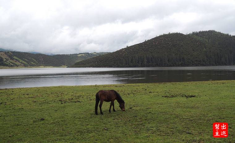 【香格里拉】原生態之”普達措國家公園”